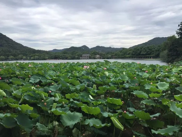 1536219833433762.jpg 640.webp (2).jpg