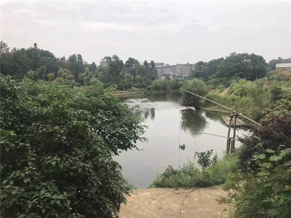 1536221293134874.jpg 640.webp.jpg