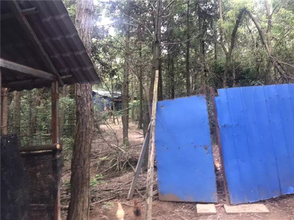 1536221304585106.jpg 640.webp (2).jpg