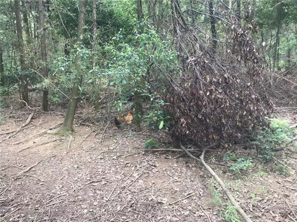 1536221328183801.jpg 640.webp (4).jpg