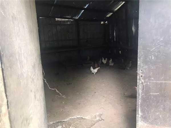 1536221331502028.jpg 640.webp (5).jpg