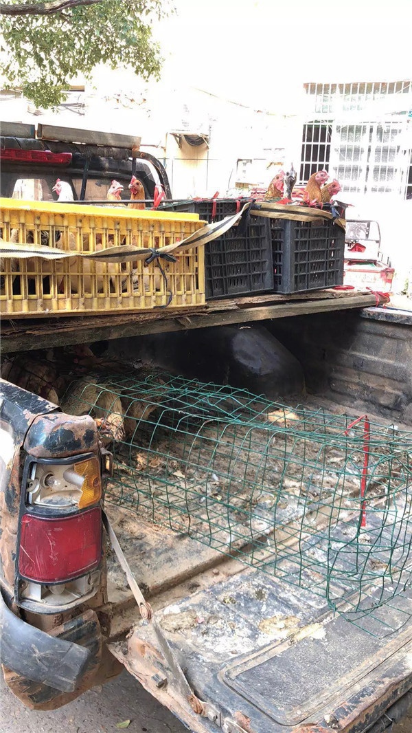 1536221358347766.jpg 640.webp (7).jpg