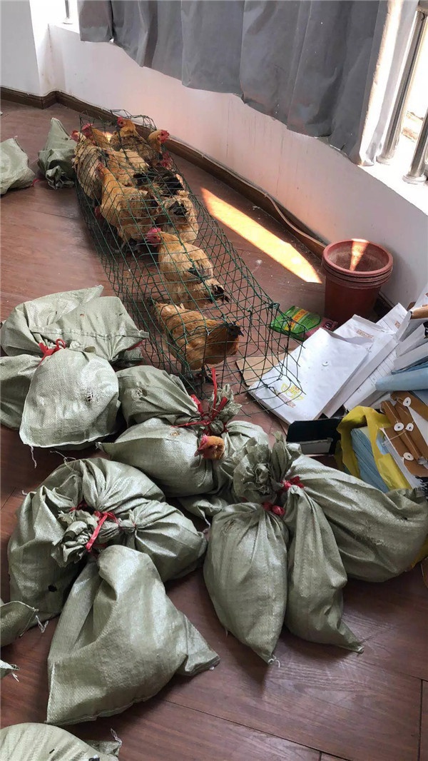 1536221371888138.jpg 640.webp (9).jpg