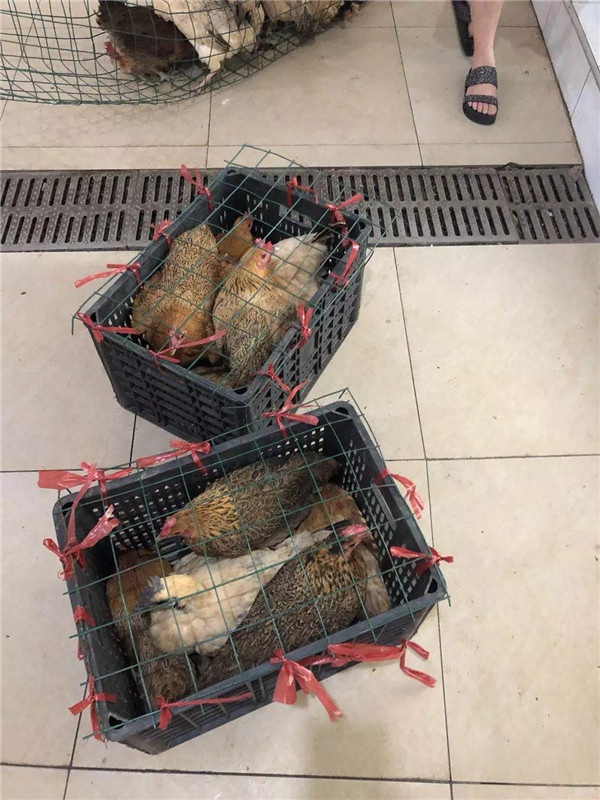 1536221391587869.jpg 640.webp (13).jpg